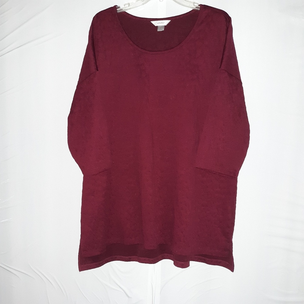 🎃 CJ Banks Plus Size Tunic